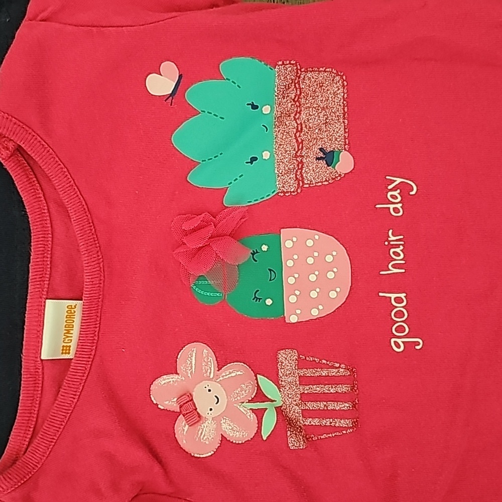 Gymboree 3t shirts lot - Picture 6 of 7
